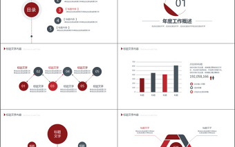 2019年紅色醫(yī)療管理PPT模板