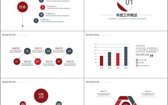 2019年红色医疗管理PPT模板