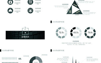 簡約線條黑白灰公司介紹產(chǎn)品ppt模板