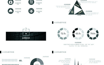 簡約線條黑白灰公司介紹產(chǎn)品ppt模板