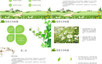 桃花春草香小學教學課件