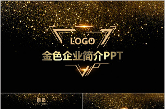 低調(diào)奢華金色公司簡介企業(yè)宣傳推廣PPT模板