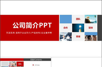 簡潔實用公司簡介PPT