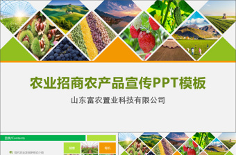 2021农业养殖ppt