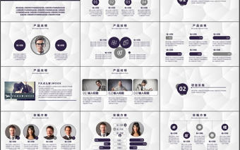 2017年項目申報匯報PPT