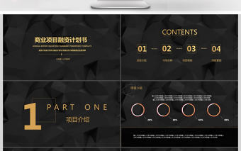 簡約大氣黑金商務策劃融資計劃書