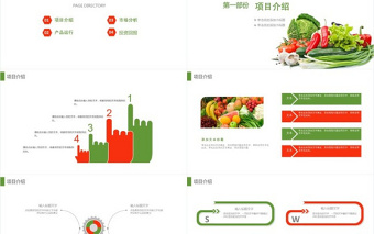 綠色蔬菜果蔬農(nóng)副產(chǎn)品推廣宣傳PPT模板