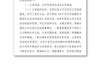 2018年黨支部巡視整改專題組織生活會總結報告