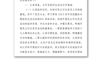 2018年黨支部巡視整改專題組織生活會總結(jié)報告