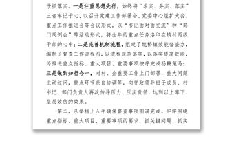 在領(lǐng)導(dǎo)干部務(wù)虛會暨督查工作推進(jìn)會上的交流材料