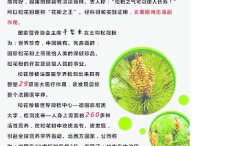 國(guó)珍松花粉宣傳海報(bào)