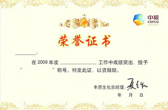 2021年獎(jiǎng)狀榮譽(yù)證書 2021年獎(jiǎng)狀榮譽(yù)證書
