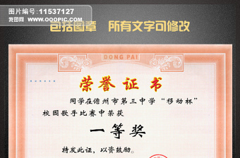 2021年比賽獎(jiǎng)狀獲獎(jiǎng)證書(shū)榮譽(yù)證書(shū)模板 2021年比賽獎(jiǎng)狀獲獎(jiǎng)證書(shū)榮譽(yù)證書(shū)模板
