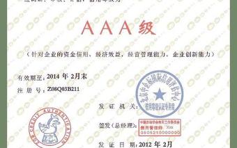 2021年企業(yè)信用等級證書
