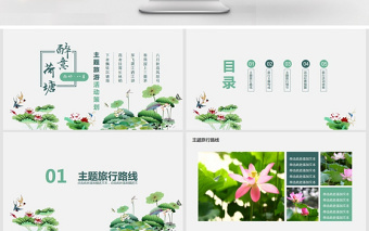 醉意荷塘主題旅游活動策劃PPT
