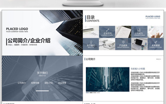 商務(wù)灰色簡約公司簡介企業(yè)介紹PPT模板