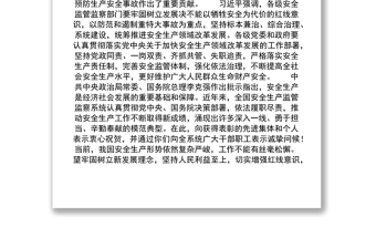 習(xí)近平對全國安全生產(chǎn)工作作出重要指示