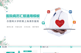 2021黨建項(xiàng)目中期報(bào)告匯報(bào)ppt模板