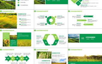 農業招商農產品宣傳PPT模板
