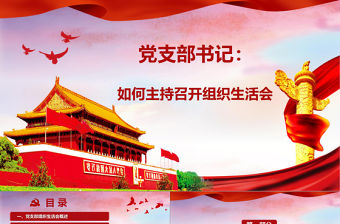 紅色簡潔大氣微黨課基層黨支部黨員組織生活會學(xué)習(xí)模板