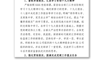 2018年黨支部書(shū)記抓黨建工作述職報(bào)告