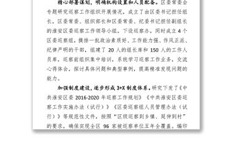 巡察工作開展情況匯報