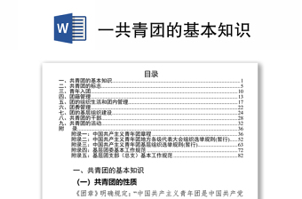 2022学习团章团史团的基本知识团的重要会议精神和重点工作部署讲稿内容