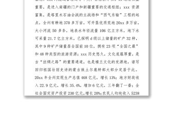 向自治區黨委巡視組的工作匯報