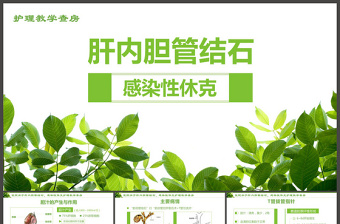 感染性休克肝膽內(nèi)結(jié)石護(hù)理教學(xué)查房PPT模版