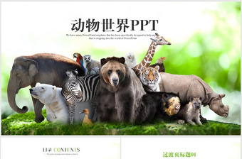 动物世界保护野生动物ppt动态模板