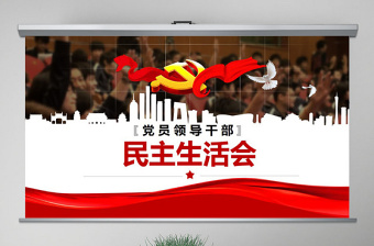 民主生活會(huì)黨委班子對(duì)照檢查材料PPT模板