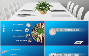 企業(yè)文化團(tuán)隊凝聚力員工培訓(xùn)PPT課件