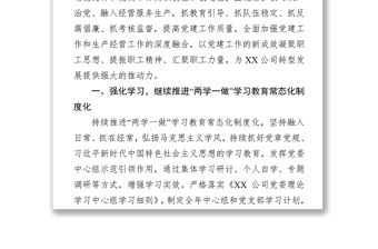 公司黨委2019年黨建工作要點(范文)