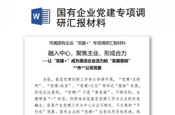 國有企業黨建專項調研匯報材料