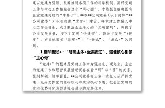 國有企業黨建專項調研匯報材料