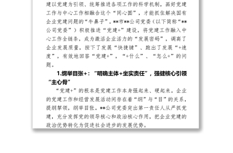 國(guó)有企業(yè)黨建專項(xiàng)調(diào)研匯報(bào)材料