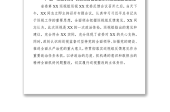 落實(shí)巡視整改“第一責(zé)任人”的情況黨建工作總結(jié)