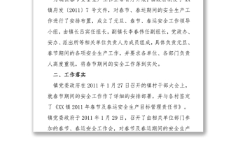 镇政府2011年春节安全工作总结报告