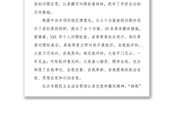 村官工作總結(jié)脫貧攻堅(jiān)專項(xiàng)巡視整改專題民主生活會總結(jié)講話稿