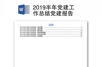 2019半年黨建工作總結(jié)黨建報告