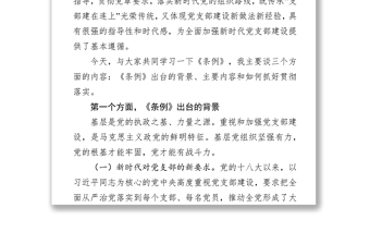 规章制度范本《中国共产党支部工作条例》辅导范文