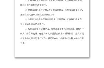 黨支部委員工作分工黨委黨支部工作計(jì)劃