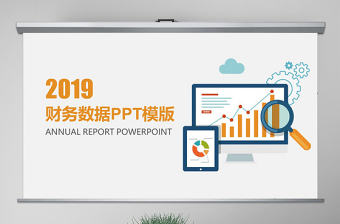 原創(chuàng)2019年財(cái)務(wù)數(shù)據(jù)度財(cái)務(wù)數(shù)據(jù)分析報(bào)告-版權(quán)可商用