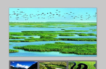 四張精美綠色大自然生態(tài)PPT背景圖片