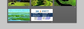 四張精美綠色大自然生態(tài)PPT背景圖片