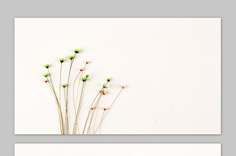 六張簡(jiǎn)約清新花束PPT背景圖片 六張簡(jiǎn)約清新花束PPT背景圖片
