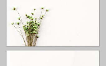 六張簡(jiǎn)約清新花束PPT背景圖片 六張簡(jiǎn)約清新花束PPT背景圖片