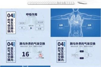 人教版七年级生物发生在肺内的气体交换