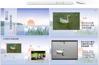 人教版四年級上冊白公鵝ppt