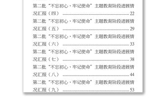 第二批主題教育階段工作總結(jié)匯編(10篇)